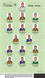 2014 Hurling Team of the Year